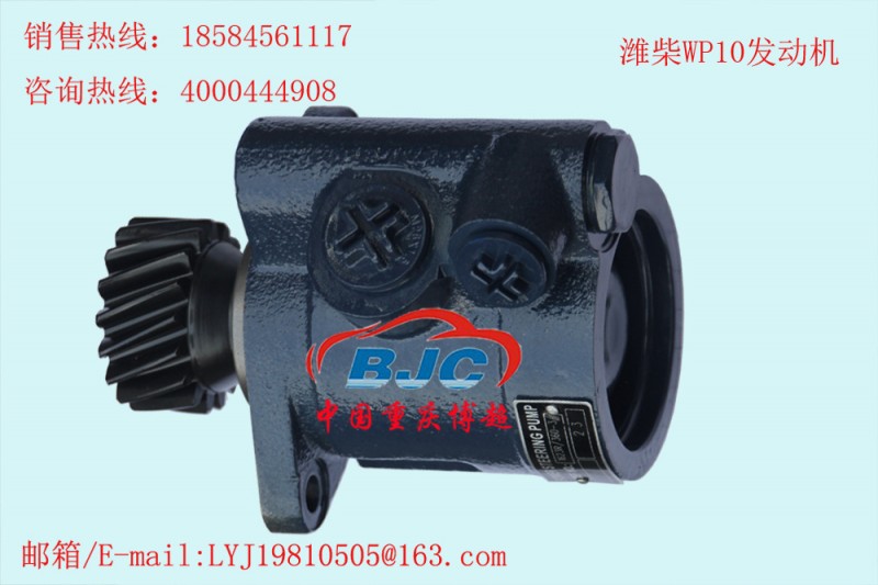 612600130327 濰柴WP10發動機 助力泵Power steering pump工廠,批發,進口,代購