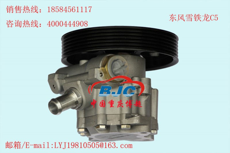 東風雪鐵龍C5 助力泵DongFeng Citroen Power steering pump工廠,批發,進口,代購