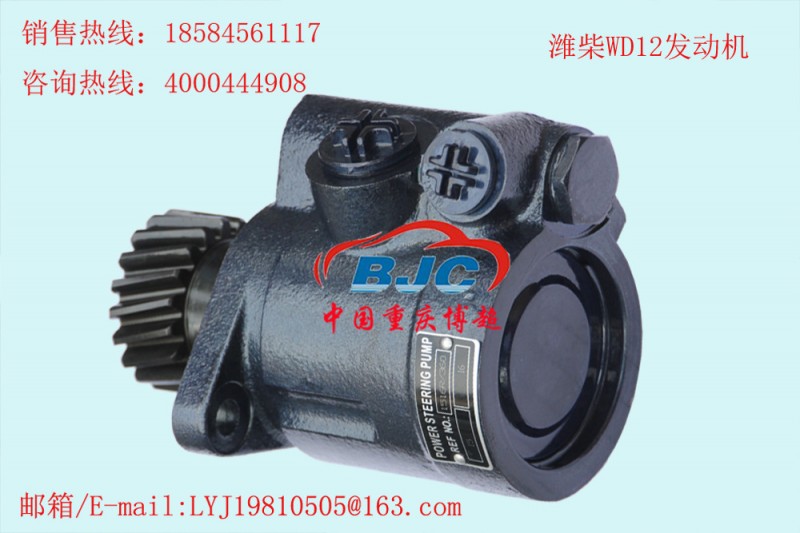 612600130256 濰柴WD12發動機 助力泵Power steering pump工廠,批發,進口,代購