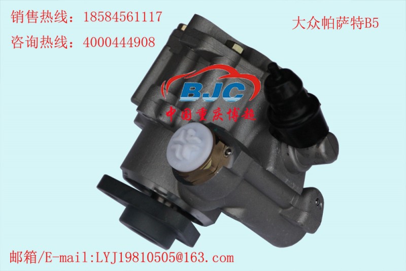 大眾帕薩特B5 助力泵Passat Power steering pump工廠,批發,進口,代購