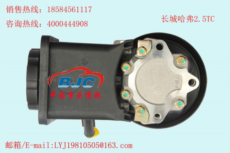 長城哈弗2.5TC帶壺助力泵Hover   Power steering pump工廠,批發,進口,代購