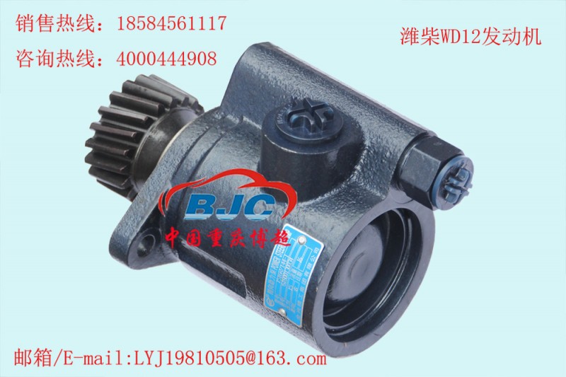 6180130034 濰柴WD12發動機 助力泵Power steering pump工廠,批發,進口,代購