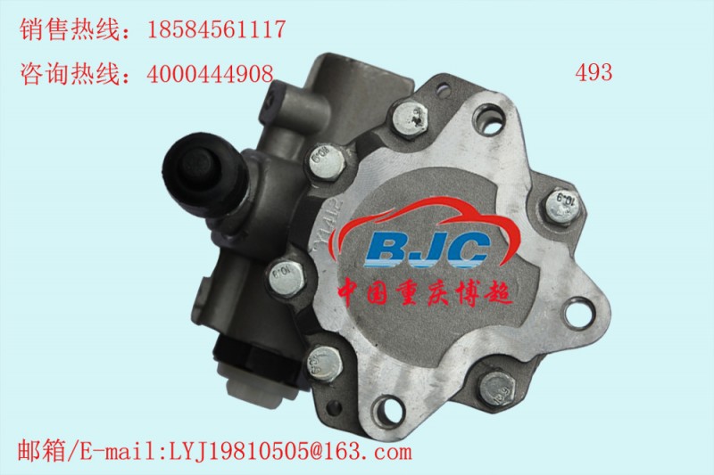 長城皮卡493發動機方向機助力泵轉向油泵Power steering pump工廠,批發,進口,代購