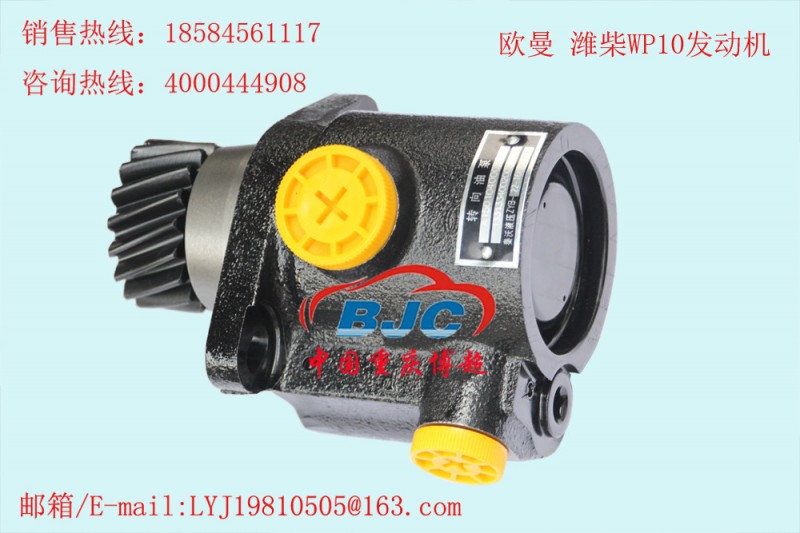 1331334002002 歐曼 濰柴WP10發動機 助力泵Power steering pump工廠,批發,進口,代購