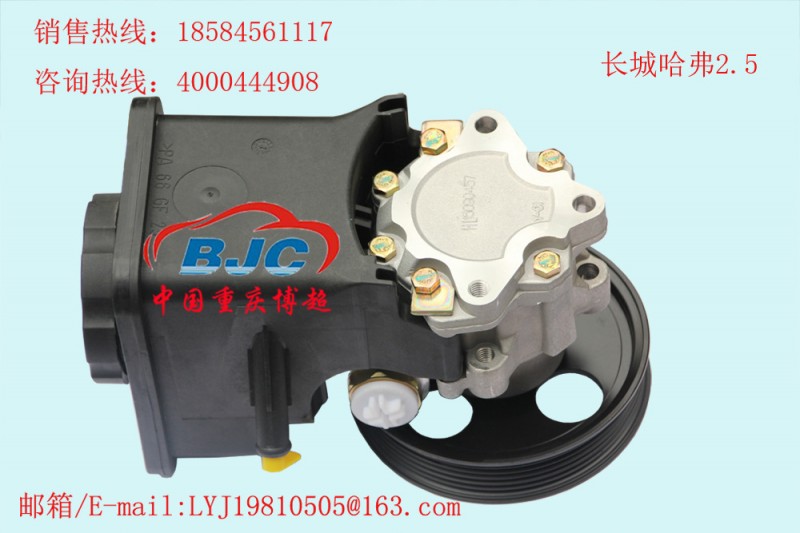 長城哈弗2.5帶壺發動機方向機助力泵轉向油泵Power steering pump工廠,批發,進口,代購