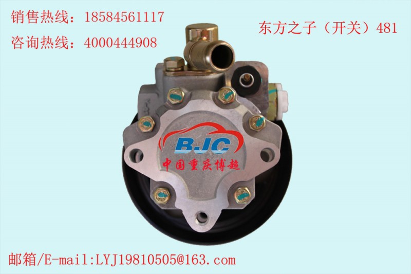 東方之子（開關）481方向機助力泵轉向油泵Power steering pump工廠,批發,進口,代購