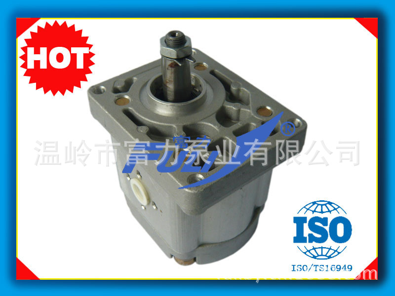 紐荷蘭齒輪泵福特菲亞特 FIAT 640/480 Hydraulic Gear Pump工廠,批發,進口,代購