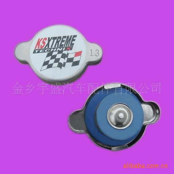 專業生產各種型號汽車水箱蓋工廠,批發,進口,代購