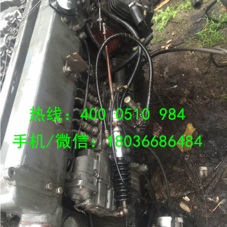 廠傢直銷 重汽攪拌車WD615.69 卡車發動機 增壓中冷 柴油工廠,批發,進口,代購