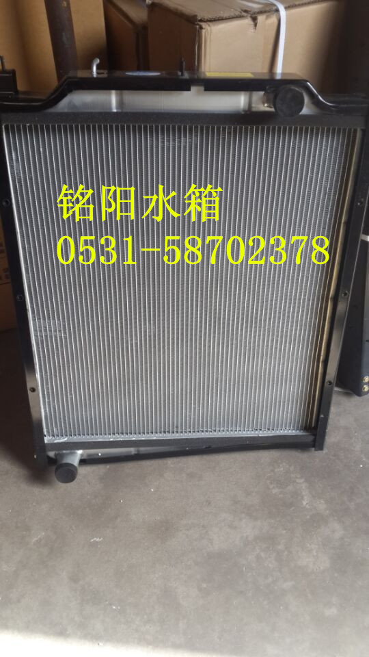 DZ9112532888陜汽奧龍散熱器總成工廠,批發,進口,代購