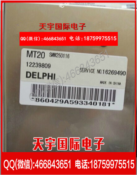 廠傢直銷全順汽車發動機電腦板/德爾福ECU/MT20/12239809/ 4G64工廠,批發,進口,代購