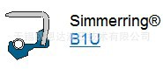 供應CFW simrit油封B1U系列工廠,批發,進口,代購
