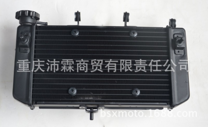 隆鑫無極650水箱 LX650無極 散熱器 原裝水箱與風扇部件工廠,批發,進口,代購