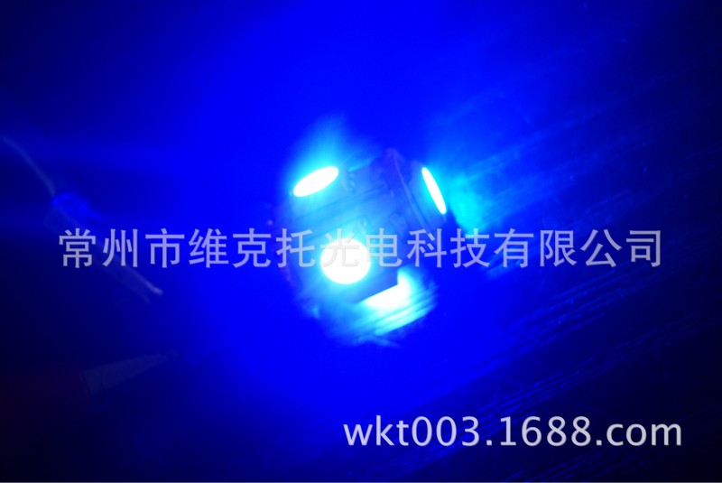 T10-5050-5SMD LED示寬燈 全新冰藍示寬燈工廠,批發,進口,代購