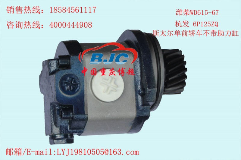 QC18/13-STD濰柴WD615-67 杭發 斯太爾助力泵Power steering pump工廠,批發,進口,代購