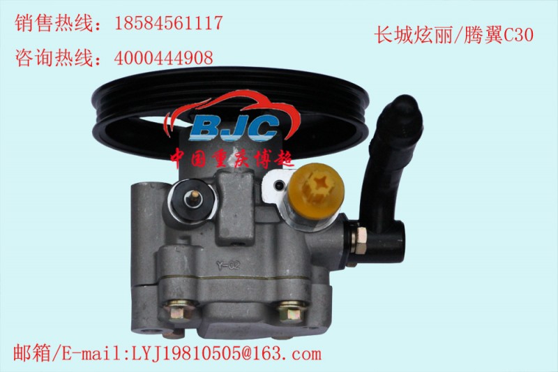 長城炫麗/騰翼C30助力泵Great Wall  Power steering pump工廠,批發,進口,代購