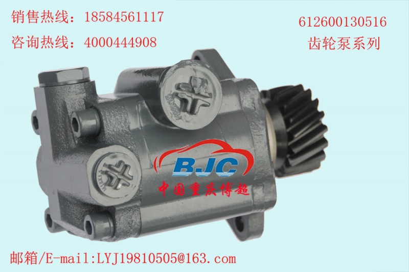 612600130516 齒輪泵系列 助力泵Power steering pump工廠,批發,進口,代購