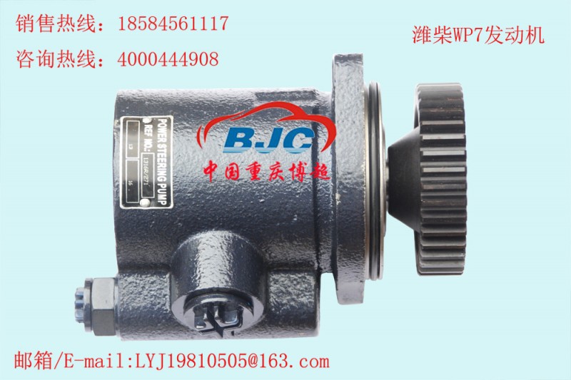 610800130014 濰柴WP7發動機  助力泵 Power steering pump工廠,批發,進口,代購