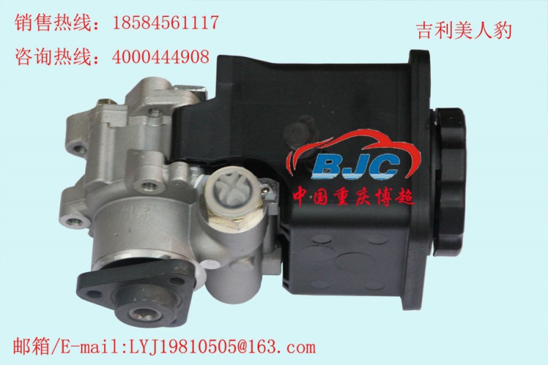 吉利美人豹帶輪油壺助力泵Geely BL Power steering pump工廠,批發,進口,代購