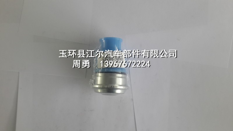 廠傢直銷/供應現代品牌汽車配件懸掛球頭54530-2B000高品質球頭工廠,批發,進口,代購