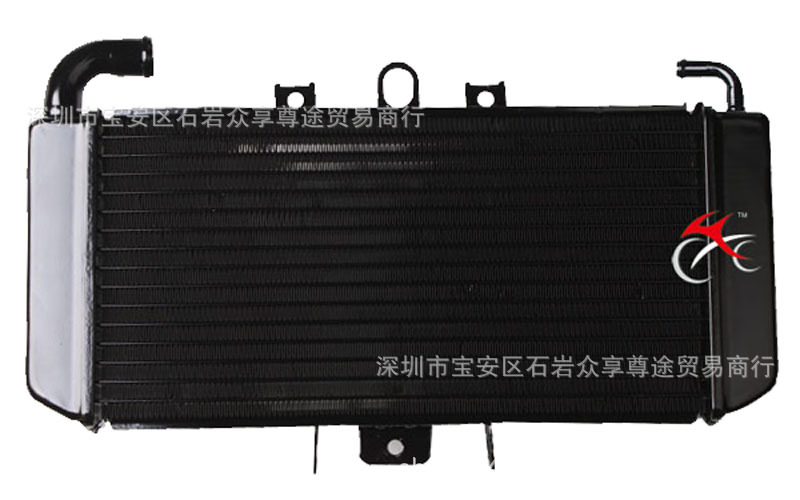 雅馬哈 FZS600 FZ600 FAZER 98-03年 水箱總成 水箱散熱器 水冷器工廠,批發,進口,代購