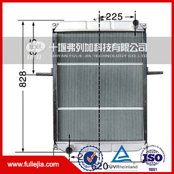 瑞沃重卡水箱/散熱器13128113X0002工廠,批發,進口,代購