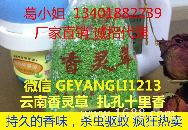 雲南正宗香靈草100%正品廠傢直銷多買多送工廠,批發,進口,代購