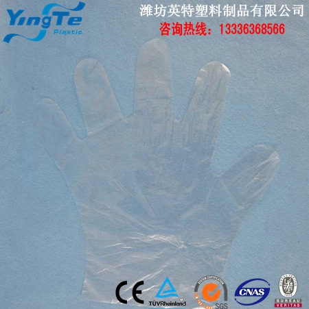 優質一次性手套塑料餐飲 傢庭保潔（生產工廠）塑料手套工廠,批發,進口,代購