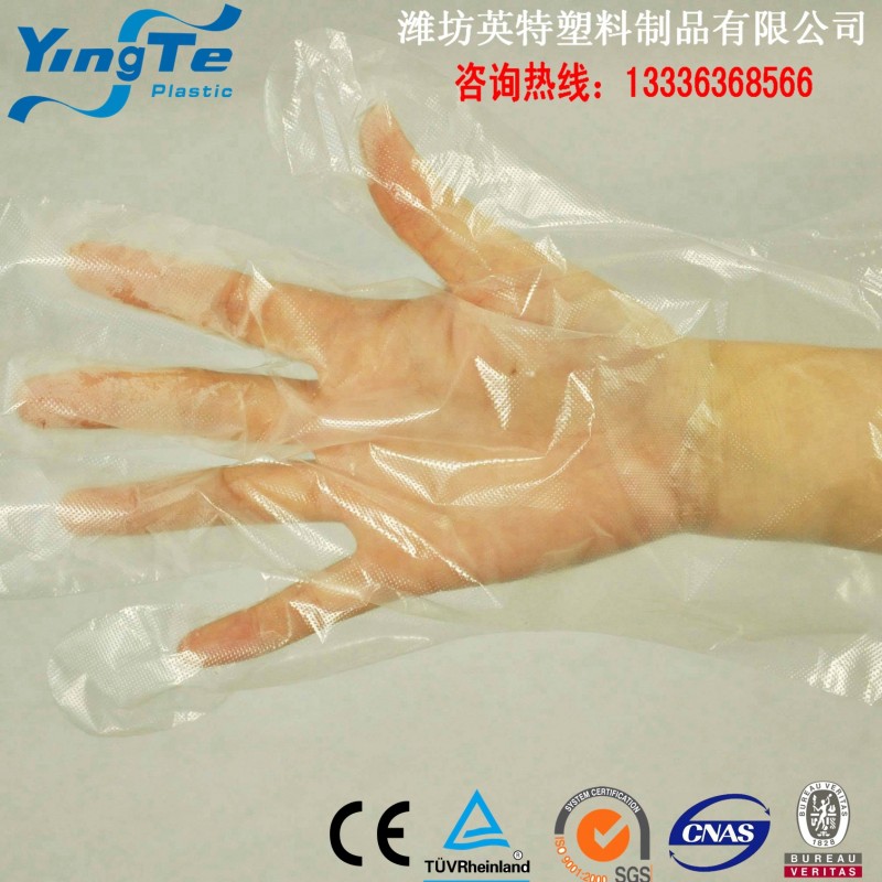 一次性塑料手套 醫用手套保潔理發燒烤海鮮專用（工廠）工廠,批發,進口,代購