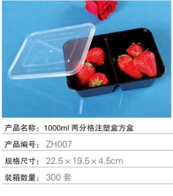 1000ml一次性註塑兩格方盒/高檔塑料外賣快餐飯盒/300套帶蓋工廠,批發,進口,代購