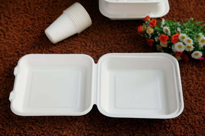 B026餐盒8寸餐盒  紙漿餐盒，環保餐盒，打包盒 食品級 出口熱銷批發・進口・工廠・代買・代購