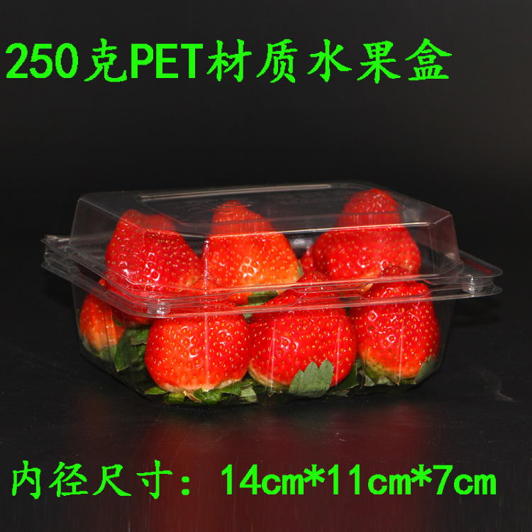 一次性水果盒 PET透明塑料水果包裝盒250克草莓外賣盒打包盒包郵工廠,批發,進口,代購