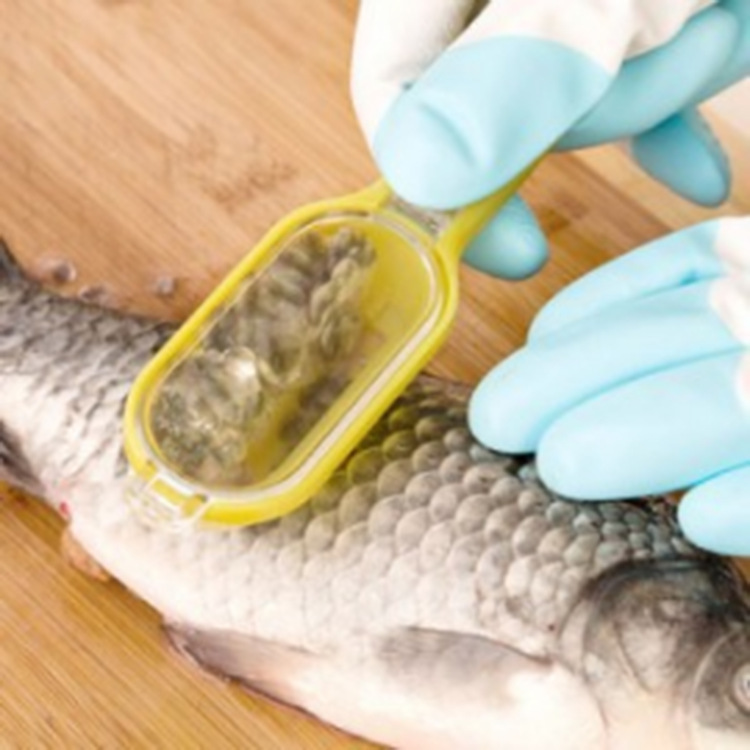 超實用便捷式帶蓋魚鱗刨 輕松去魚鱗 不傷手殺魚器廚房小工具批發工廠,批發,進口,代購