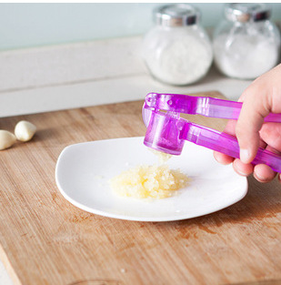 塑料手動壓蒜器 蒜泥器 捻蒜器 廚房小工具工廠,批發,進口,代購