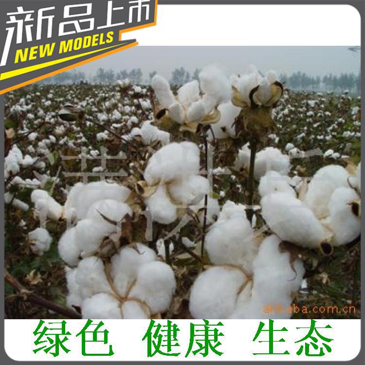 供應優質純正天然健康棉絨手工棉被--與健康一起入眠批發・進口・工廠・代買・代購