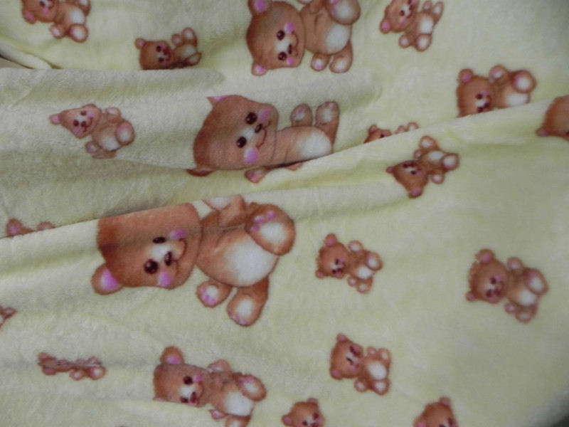 外貿原單出口蓋毯可愛小熊防靜電珊瑚絨兒童毛毯批發兼零售批發・進口・工廠・代買・代購