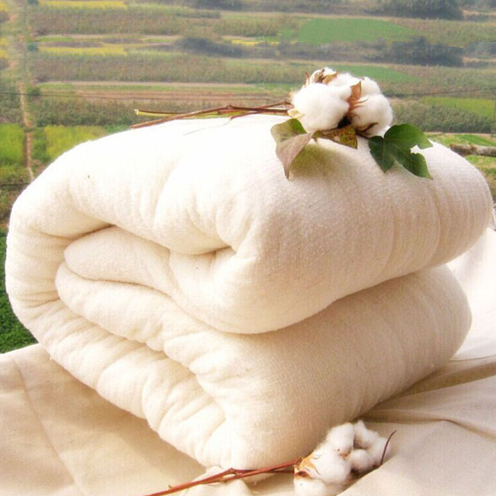 廠傢直銷一級新疆棉花 新疆棉被 春秋被芯特價 棉花被子一件代發工廠,批發,進口,代購