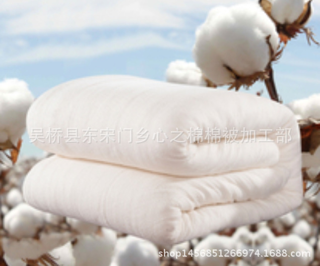 棉花棉被 褥子棉花夏涼被工廠,批發,進口,代購