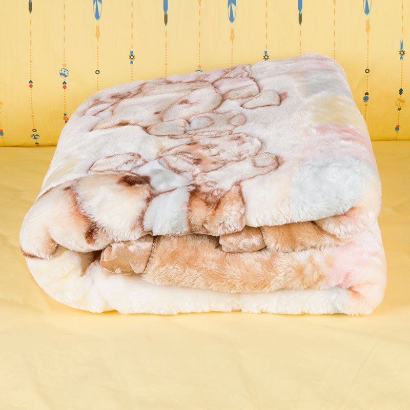 新品超柔卡通拉舍爾兒童毛毯 加厚卡通空調毯 寶寶嬰兒毯 空調毯批發・進口・工廠・代買・代購
