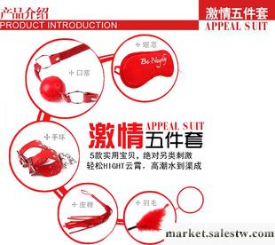 熱銷情趣用品五件套 手環+鞭子+眼罩+調情羽毛+口噻 另類玩具工廠,批發,進口,代購