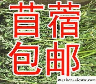 2013年細桿苜蓿草凈重1kg 苜蓿草批發18元/箱48箱全國包郵兔干草工廠,批發,進口,代購