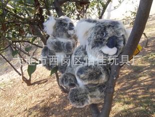 批發毛絨玩具樹袋熊/澳大利亞考拉熊/樹袋熊玩具公仔/澳洲玩具熊工廠,批發,進口,代購