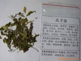 【瓜子金】 | 大量| 大量飲片|瓜子金批發| 大量藥廠|庫存積壓|工廠,批發,進口,代購