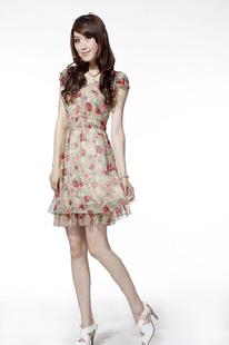 2011夏裝 新品 韓版女裝高貴大方印花短袖雪紡連衣裙子工廠,批發,進口,代購