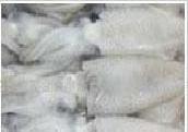 速凍（真空）野生黃渤海筆管魚工廠,批發,進口,代購