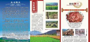 丹巴“藏寨人家”原生態綠色食品帶給您綠色健康美味工廠,批發,進口,代購