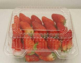 1/2/3/5公斤草莓桑果車厘子櫻桃獼猴桃托盤環保保鮮托盤冷藏托盤工廠,批發,進口,代購