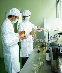德國 進口原料 乳清蛋白配方粉 OEM代加工工廠,批發,進口,代購