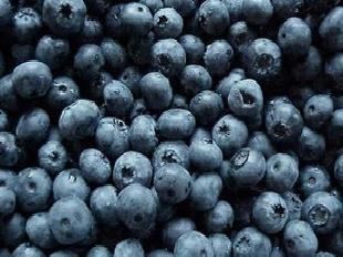 冷凍高寒野生藍莓工廠,批發,進口,代購