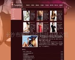 網站建設 網頁設計  女性內衣企業網站工廠,批發,進口,代購